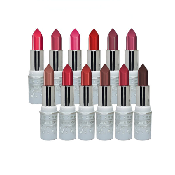 6 Pcs HengFang Matte Lipstick Set